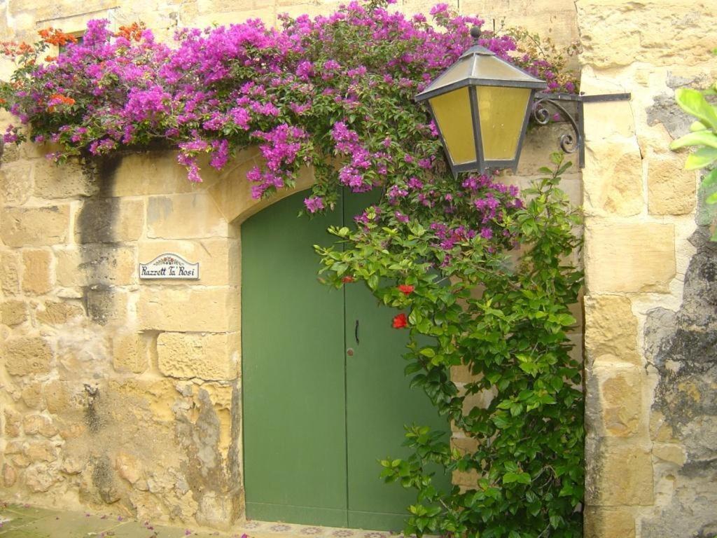 "Steves Villas" Villa Ta Rosi Xagħra 部屋 写真